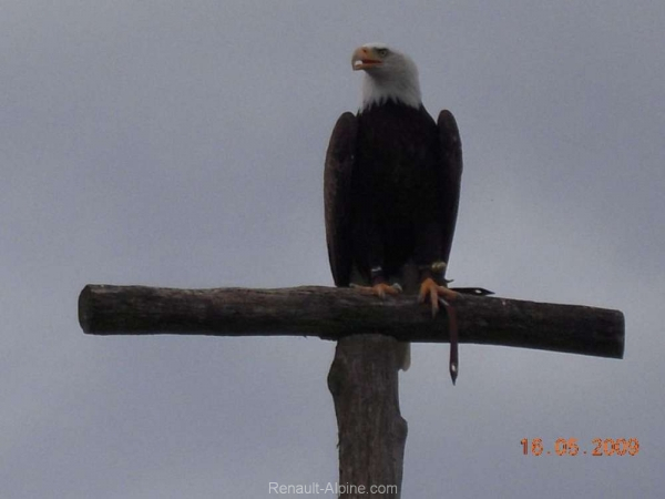 5-Hessisches-Alpinetreffen_33