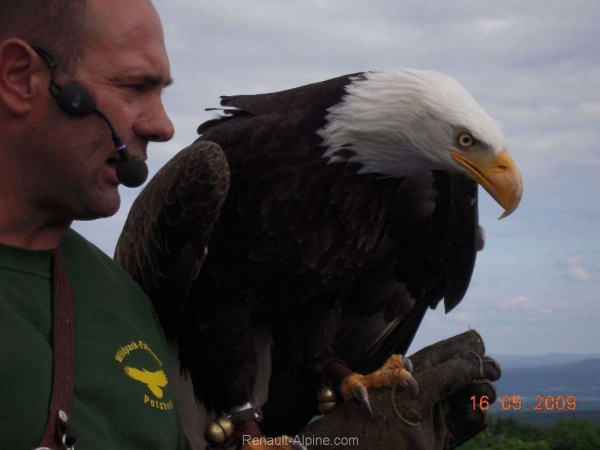 5-Hessisches-Alpinetreffen_39