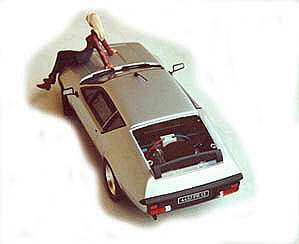 Modelle: Alpine A310 V6 von Fujimi