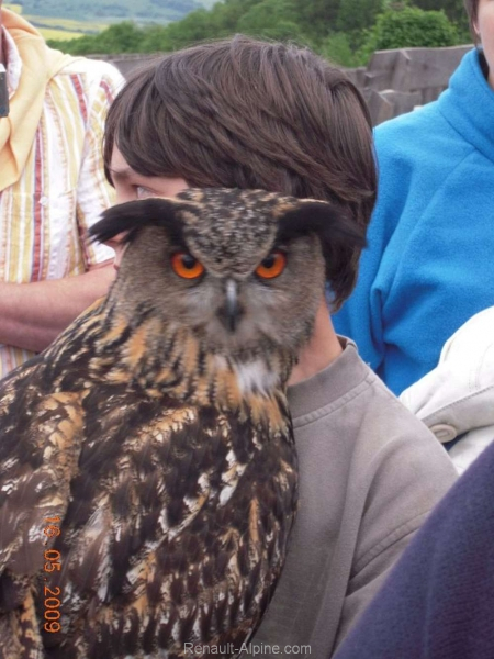 5-Hessisches-Alpinetreffen_43