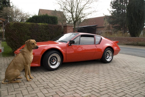 Mein Haus, mein Hund, meine Alpine....